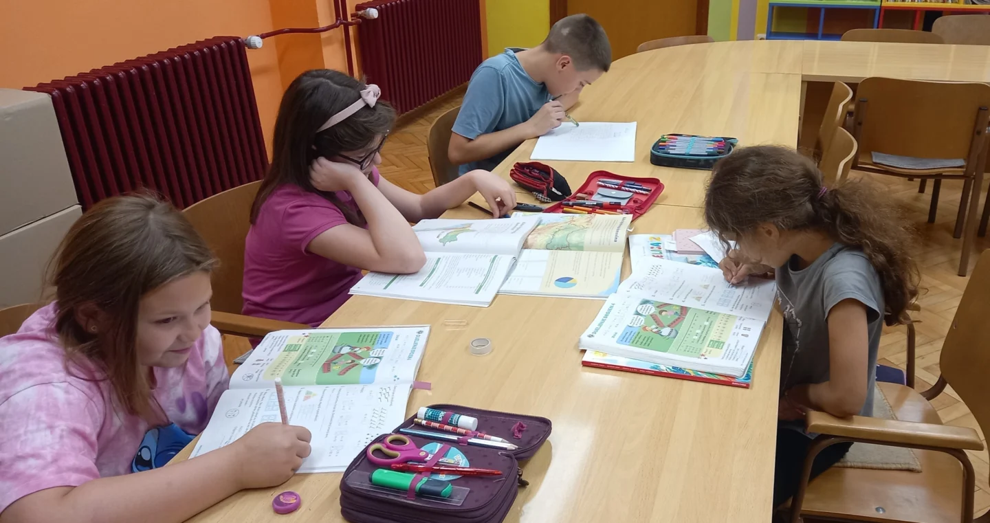 Socijalna usluga - Breza Vukovar 